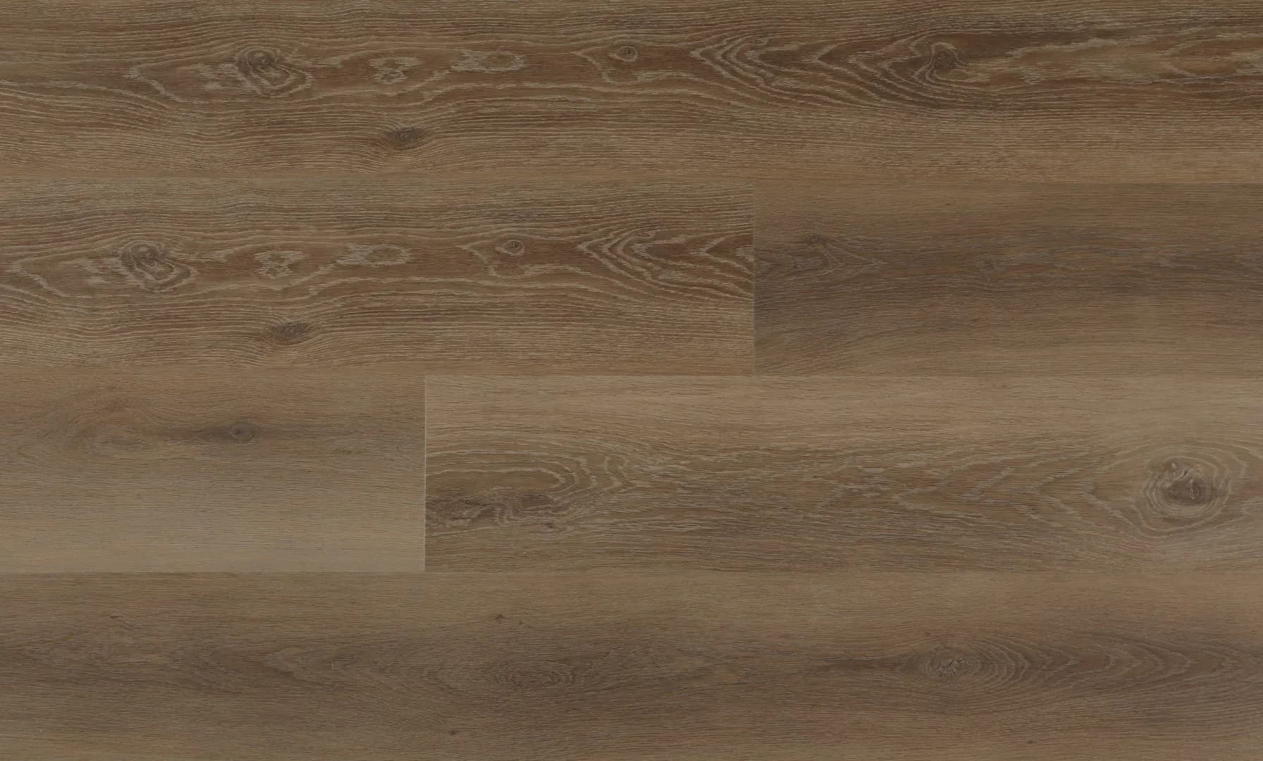 Regal Oak