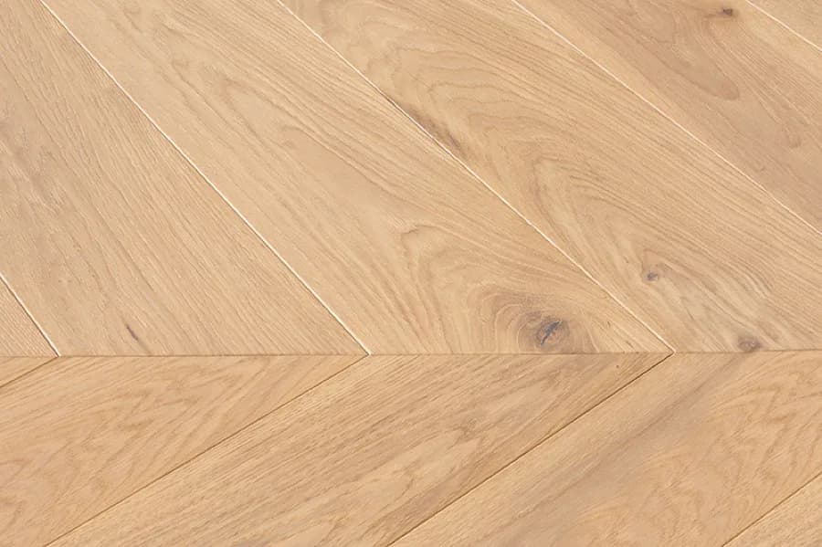 Dąb Creme Standard