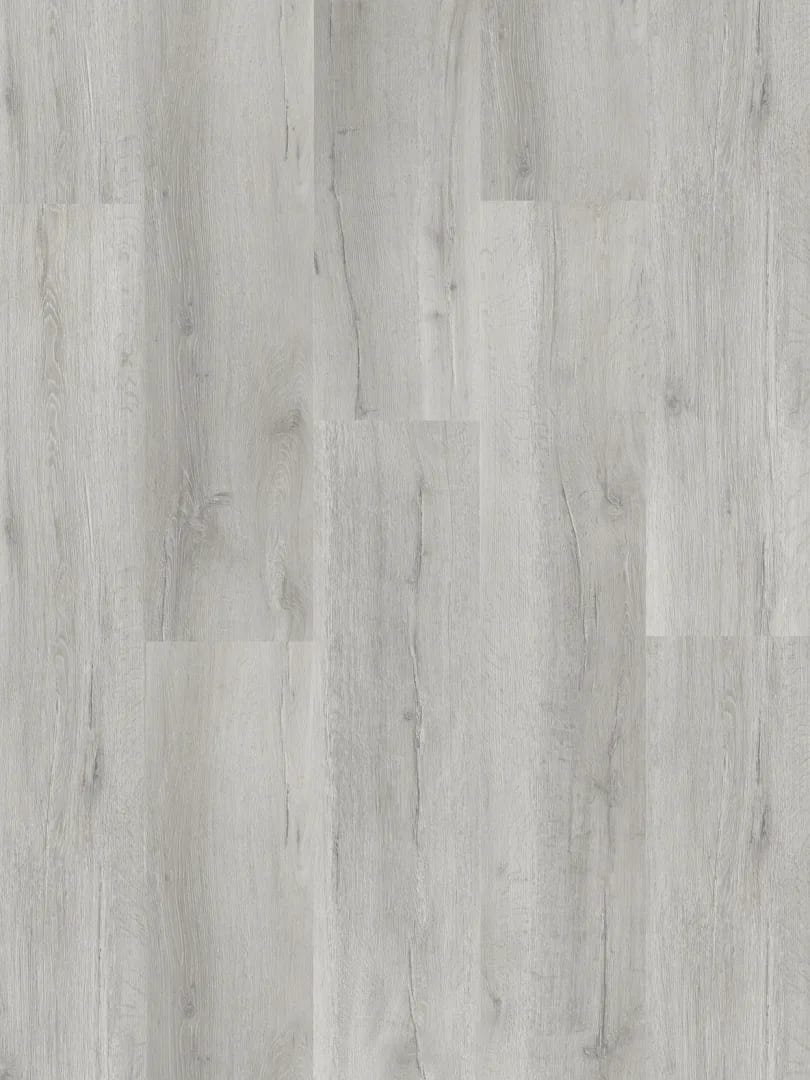 Dąb Alaskan