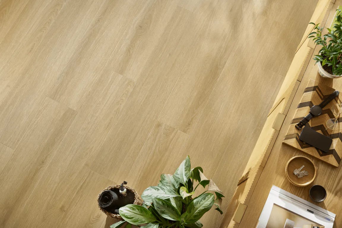 CORDOBA OAK