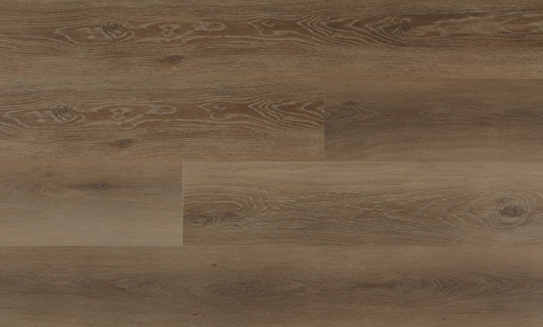 Regal Oak