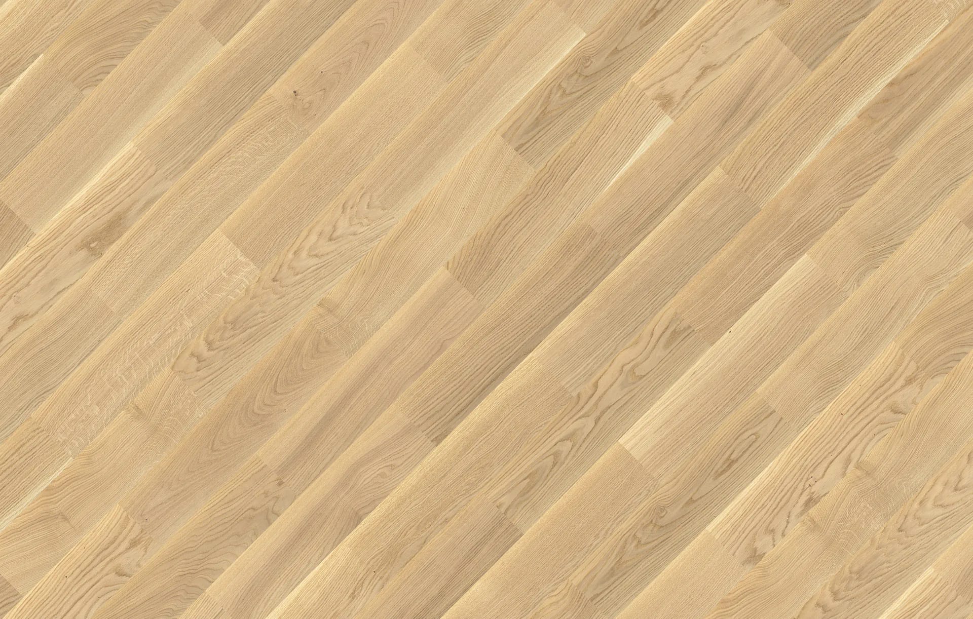 Dąb Creme