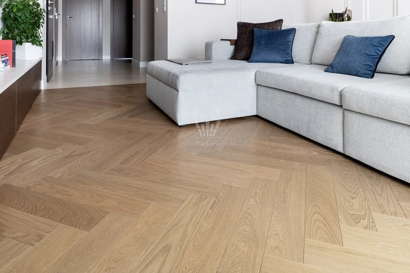 Bory Polskie Kredowy oak