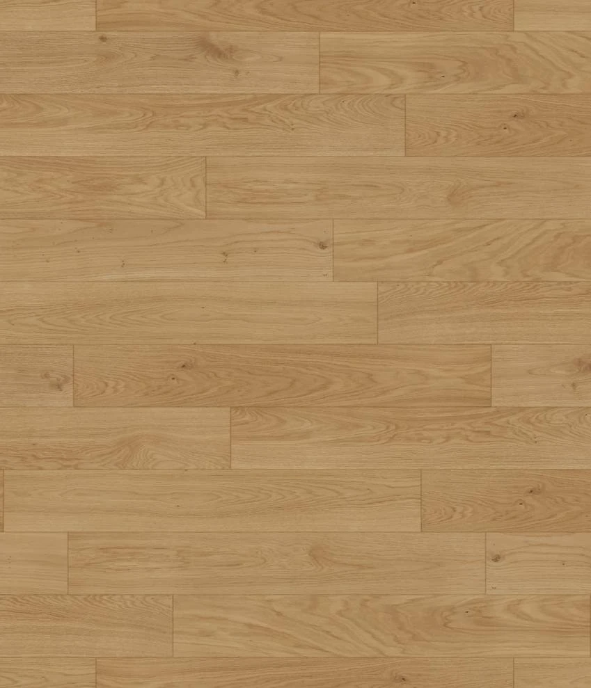 Dąb Noble of The Forest Kaczkan